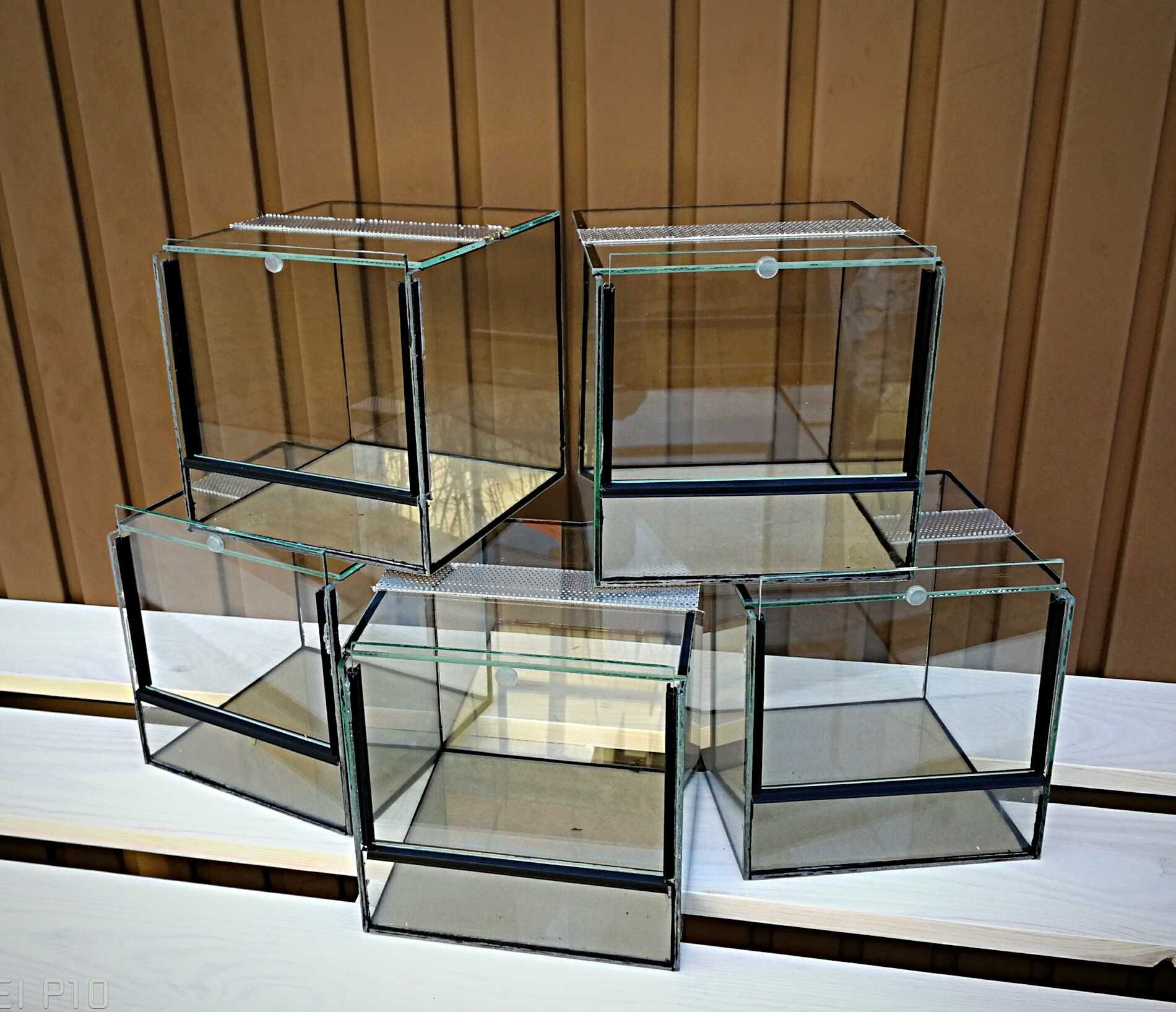 Puste Nowe Terrarium szklane 20x20x20 cm.