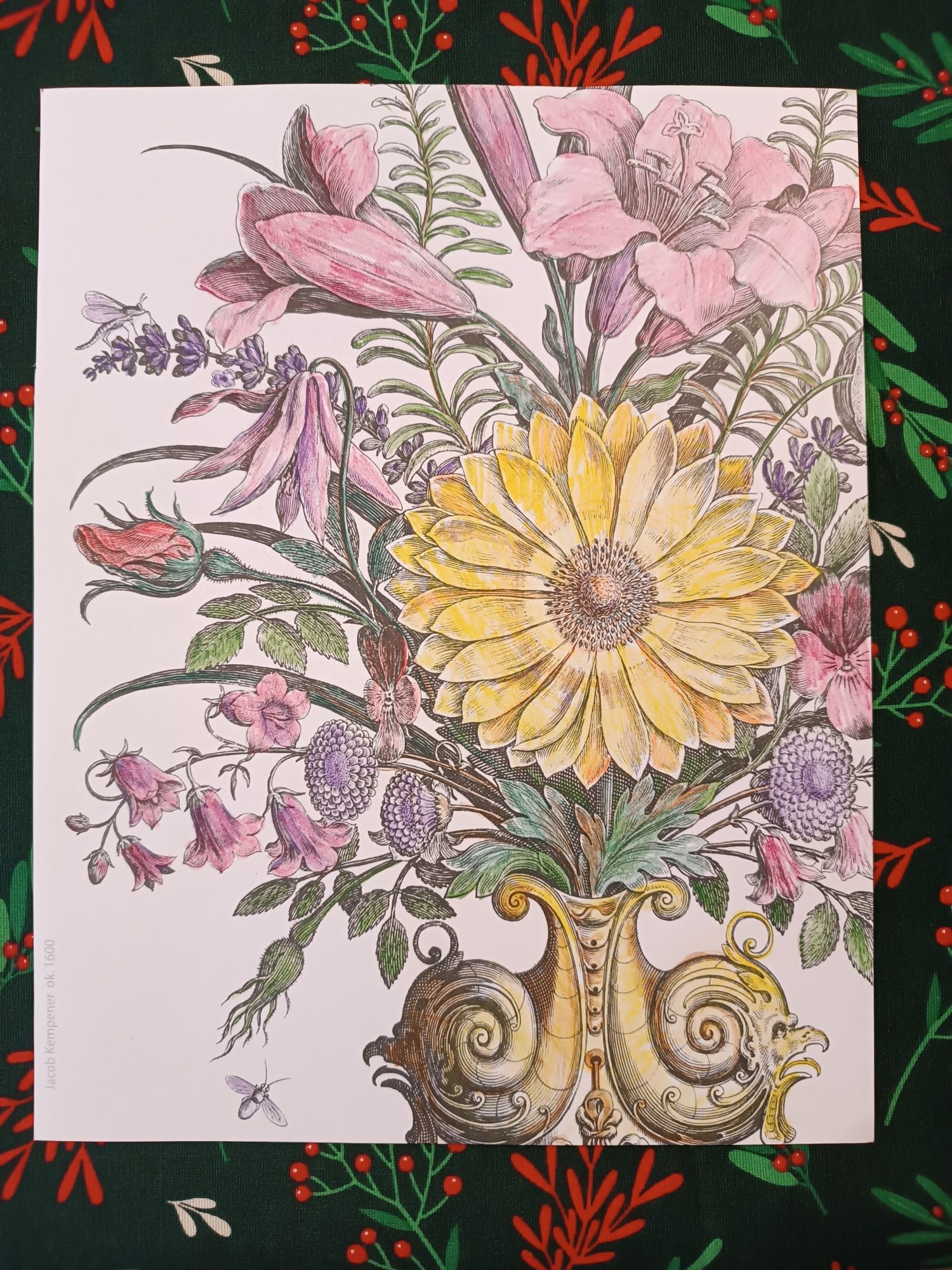 Rysunek kolorowanka kwiatów holenderskiego malarza