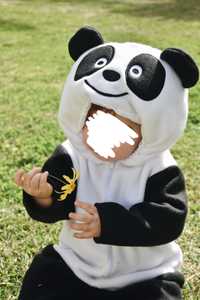 Disfarce Carnaval Panda 12-18 meses