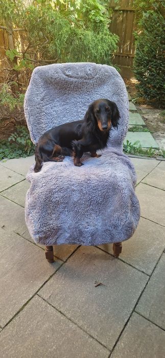 Pokrowce samochodowe  futrzane na przednie siedzenia