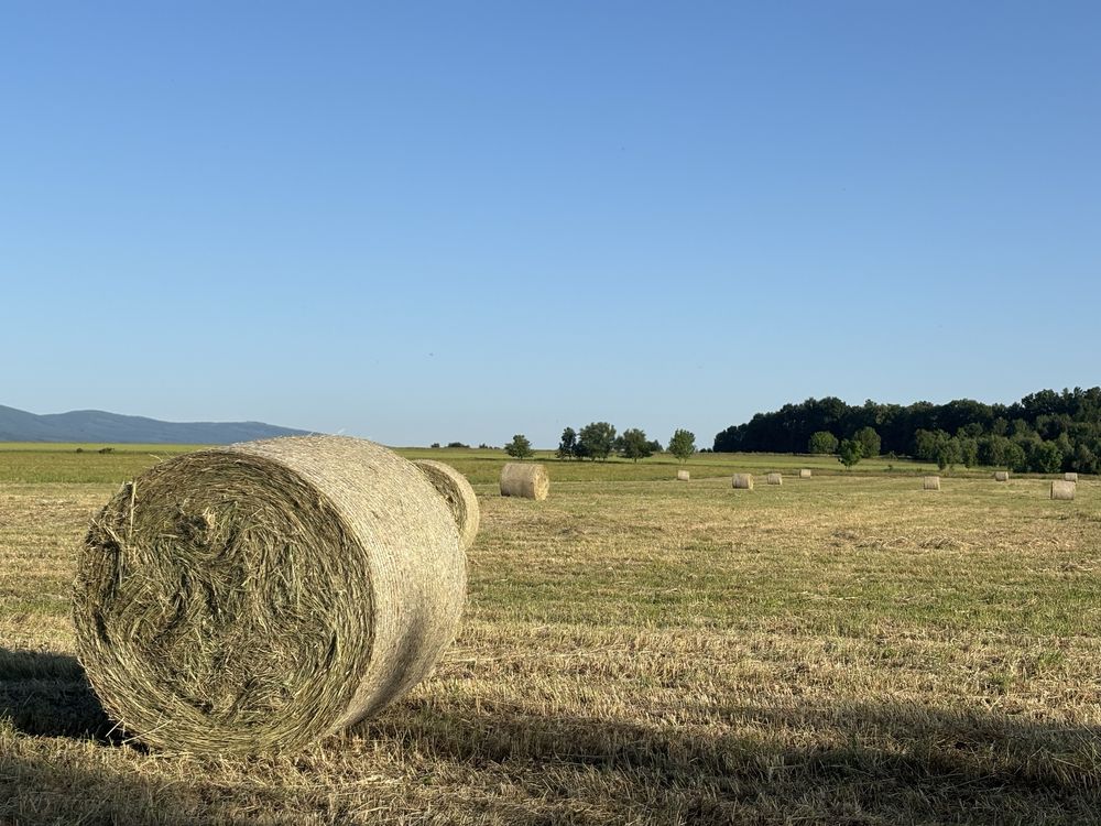Siano balot siatka 120 z ekologicznych łąk