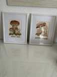 Conjunto quadros ponto cruz