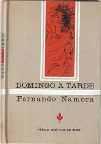 Domingo à tarde (1ª ed.)-Fernando Namora -Livros do Brasil