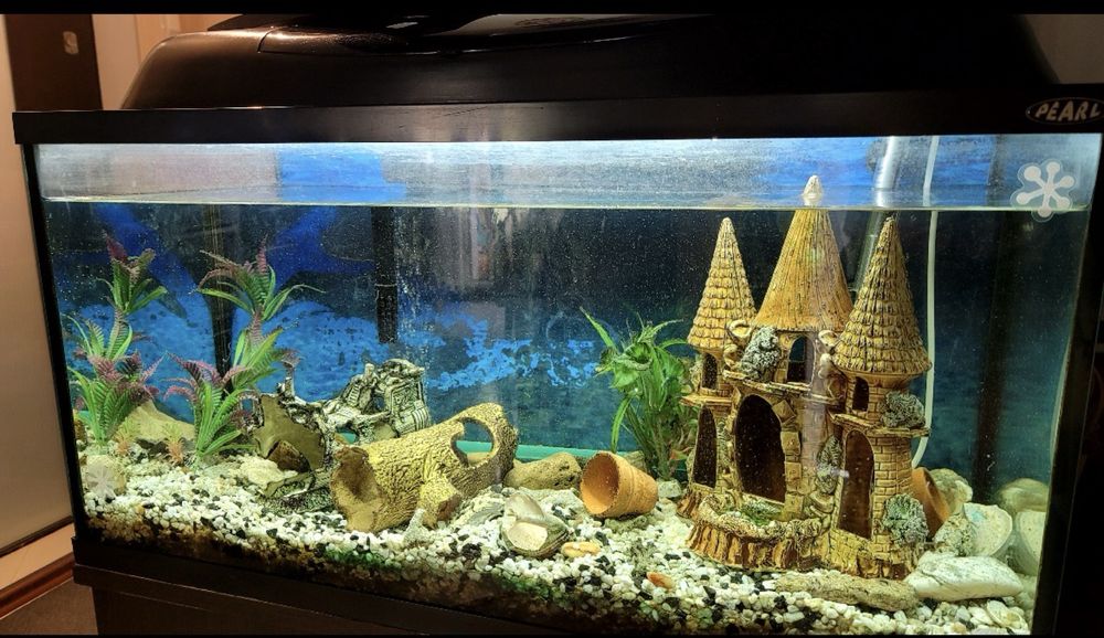 Аквариум 100 литров с принадлежнастями