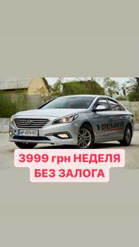 Аренда прокат авто Hyundai Sonata Kia K5 недорого Киев без залога