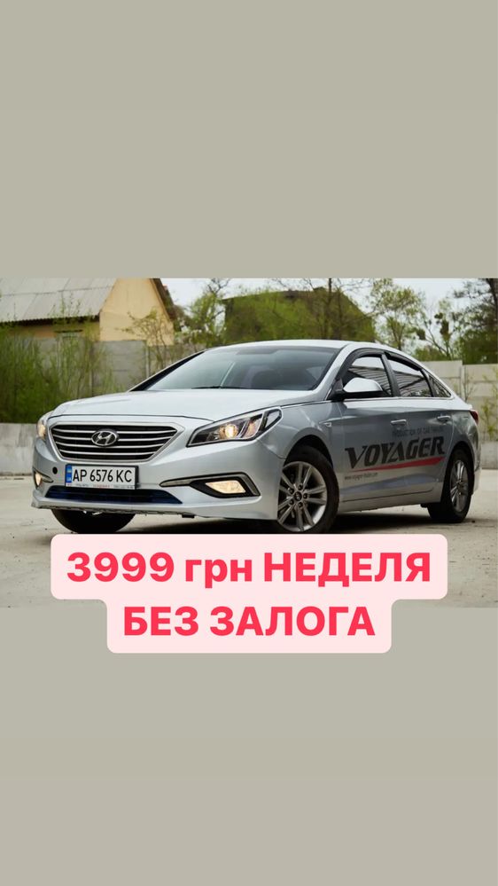 Аренда прокат авто Hyundai Sonata Kia K5 недорого Киев без залога