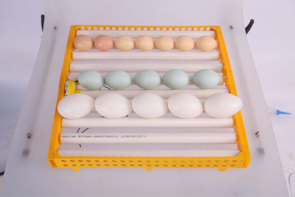 Chocadeira automatica 128 ovos