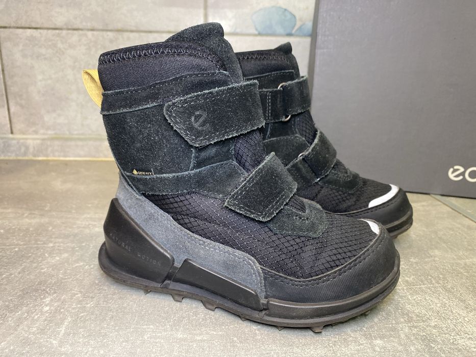 Зимові черевики Ecco Biom K2