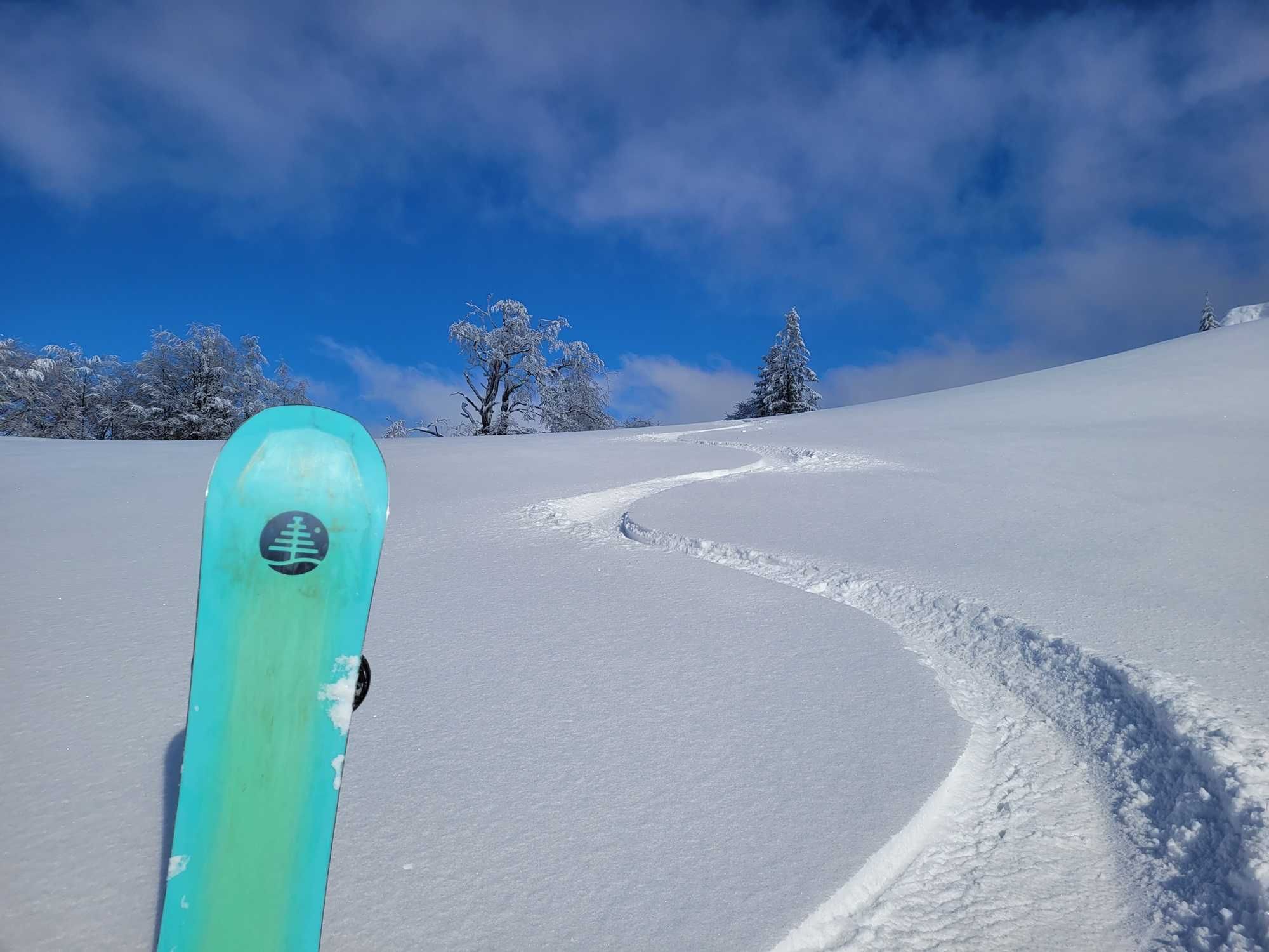 Deska snowboardowa Burton Family Tree 3D Daily Driver 159cm