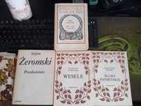 Kilka lektur do liceum. Wyspiański, Żeromski, Fredro, Sienkiewicz