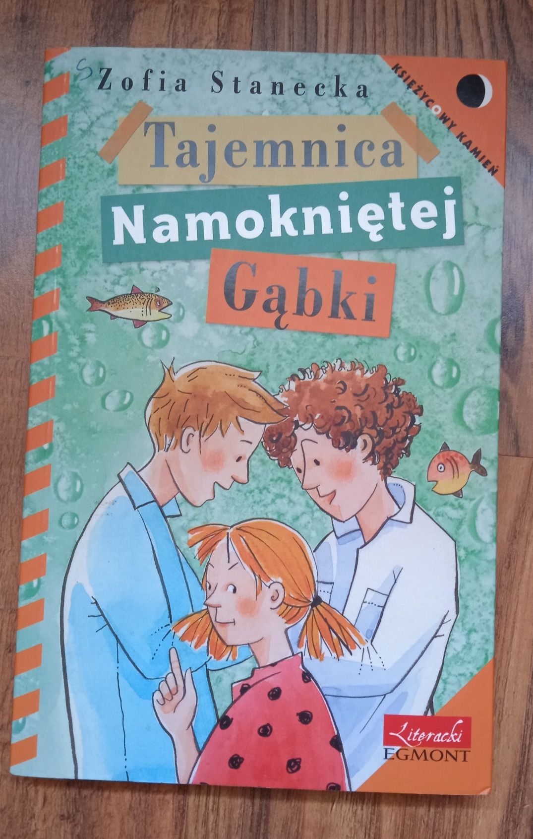Tajemnica Namokniętej Gąbki, Zofia Stanecka