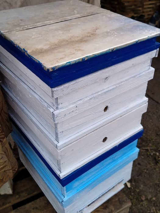 Продам вулики лежаки для бджіл