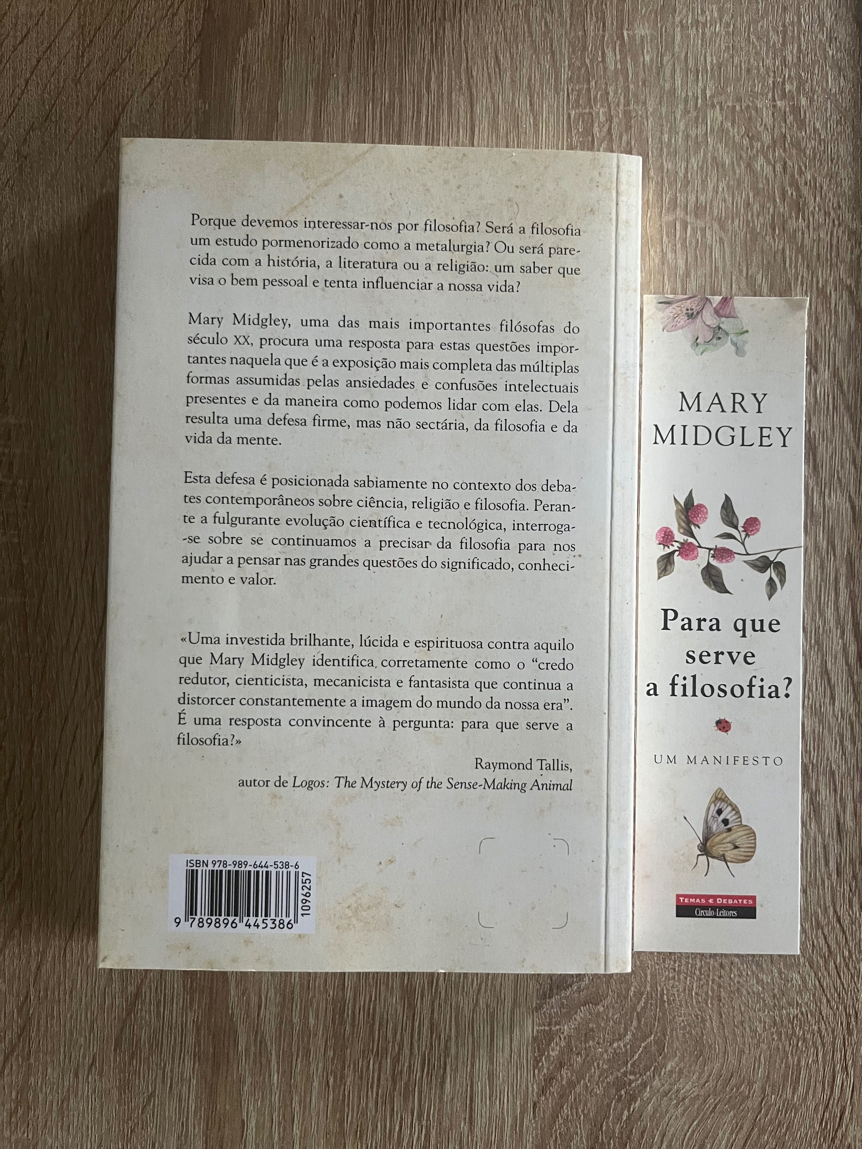 Para que serve a filosofia - Mary Midgley