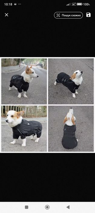 Дощовик, попона накидка водостійка ( червоний колір)