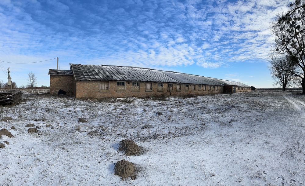 Оренда нежитлового (комерційного) приміщення. Свинокомплекс