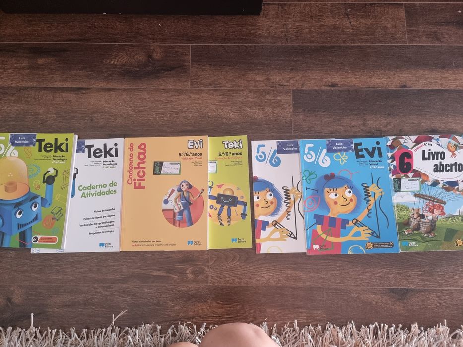 Vendo manuais escolares e Cadernos de Atividades 6ano