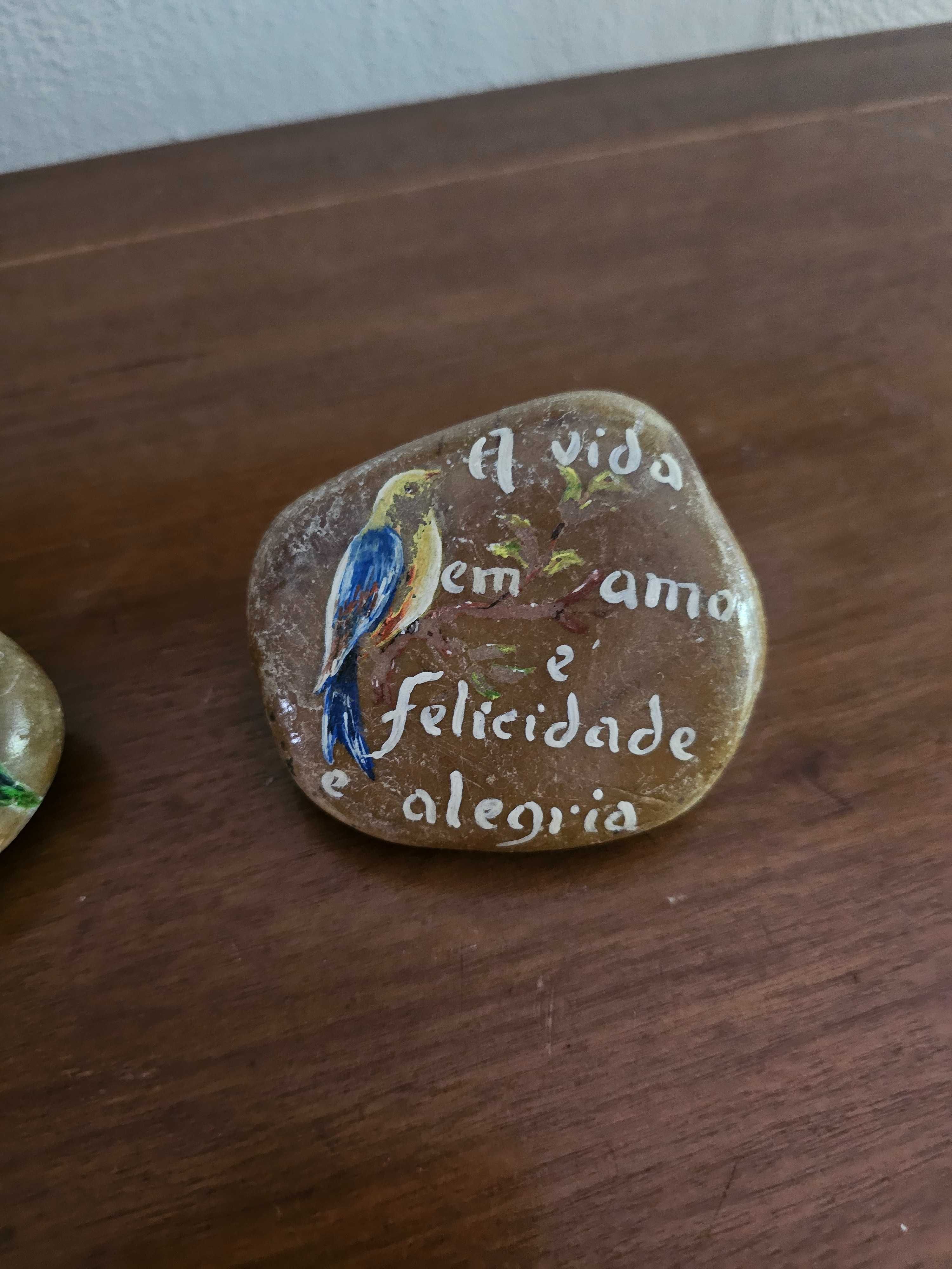 Conjunto de Pedras Decorativas Pintadas à Mão
