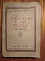 Dzieje Literatury Polskiej w zarysie - Bruckner 1907