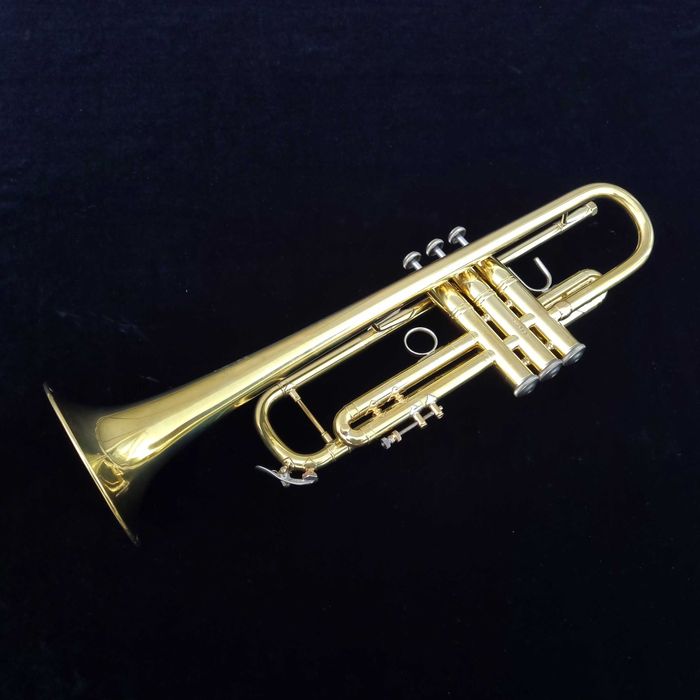 Salsa horn Vincent Bach Stradivarius 25 LARGE trąbka ustnik gamonbrass