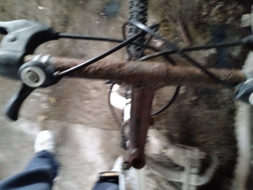 Bicicleta BIrdRodas