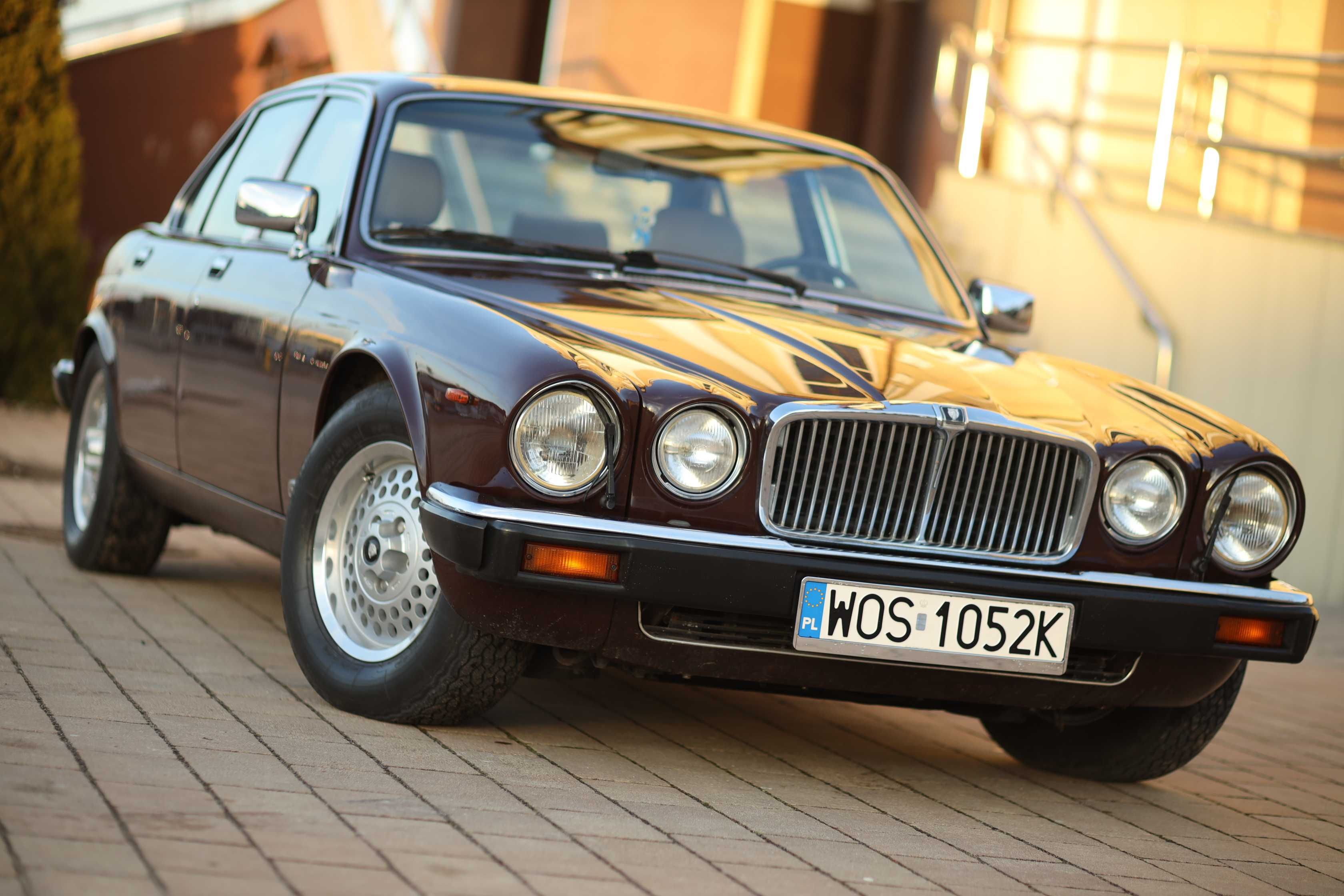 Jaguarem XJ 1983 z Klimatyzacją zawiozę do Ślubu!