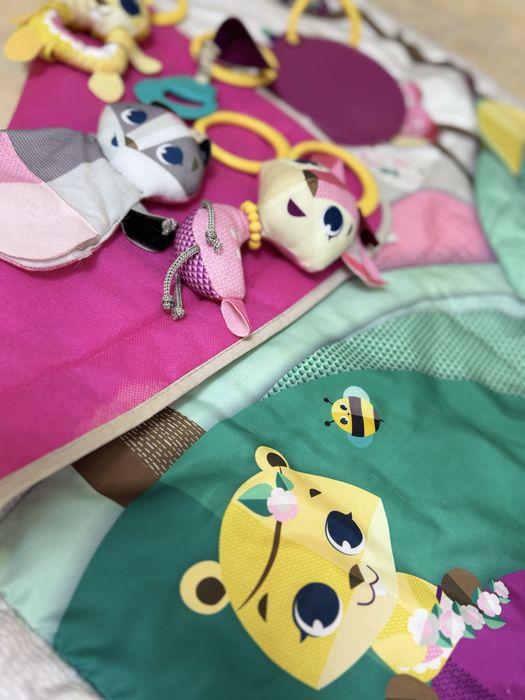 Розвиваючий килимок з дугами Tiny Love Мрії принцеси