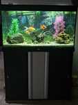 Aquário com movel completo Aquatlantis