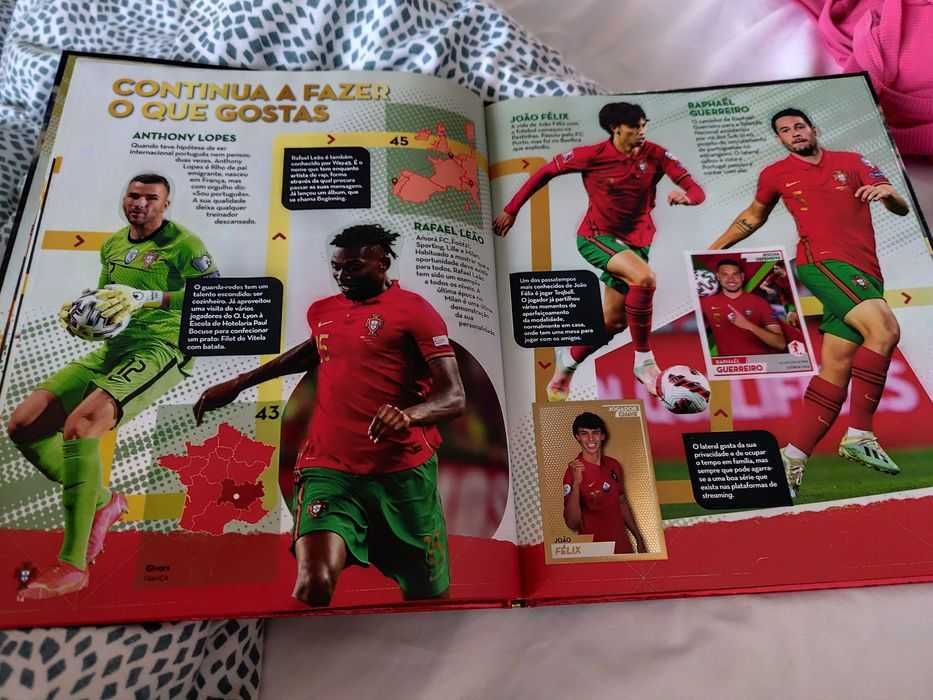 Caderneta Panini OFICIAL
Fome de vencer
FPF portugal