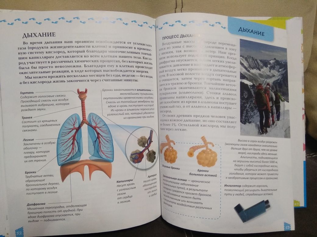 Книга "О теле человека"