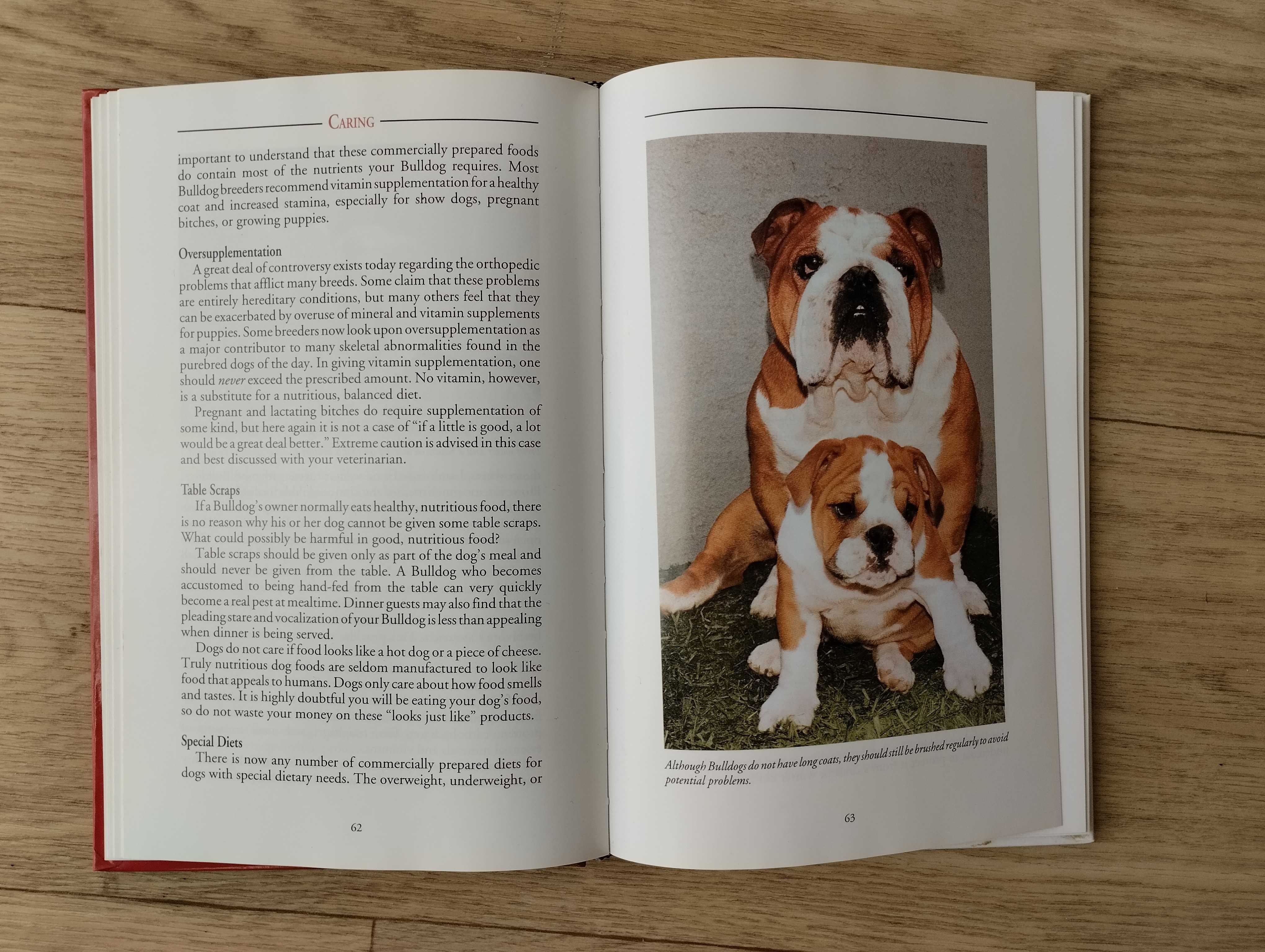 Книги о собаках, Мопс, Бульдог на английском языке