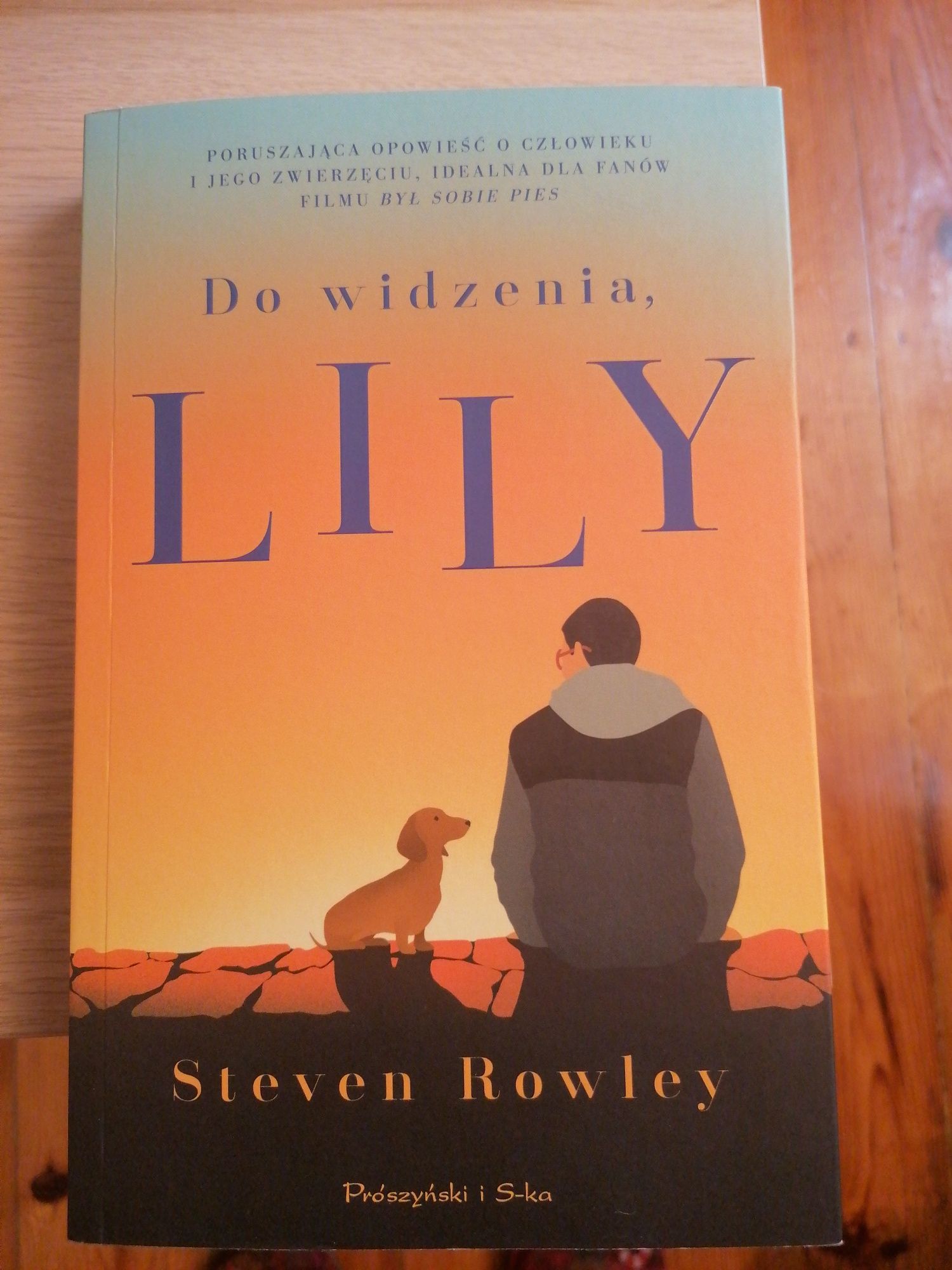 "Do widzenia Lily" Steven Rowley