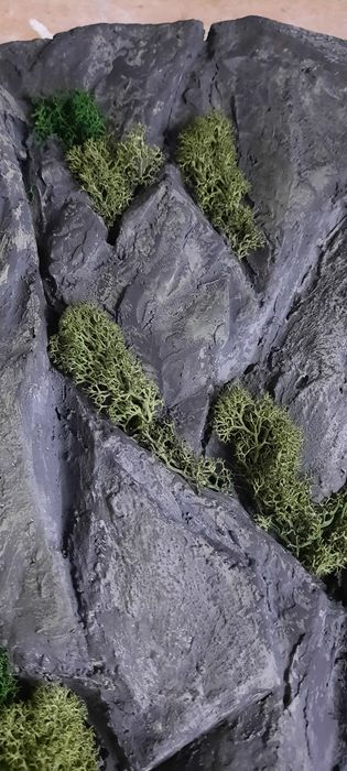 Картина интерьерная скала, мох, горы.