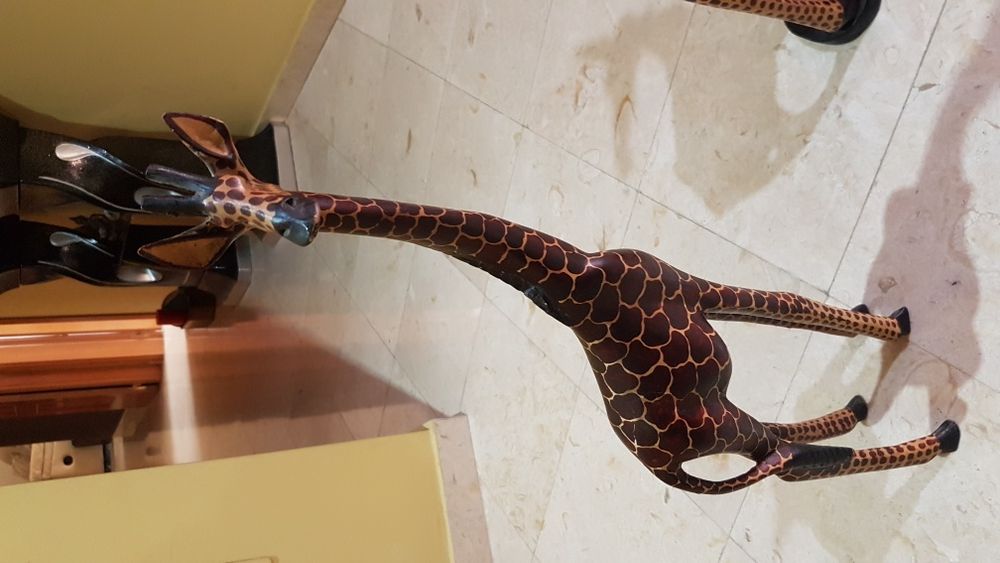 Girafas africanas em Madeira