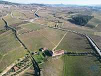 Quinta em Alijó de 872,00 m2