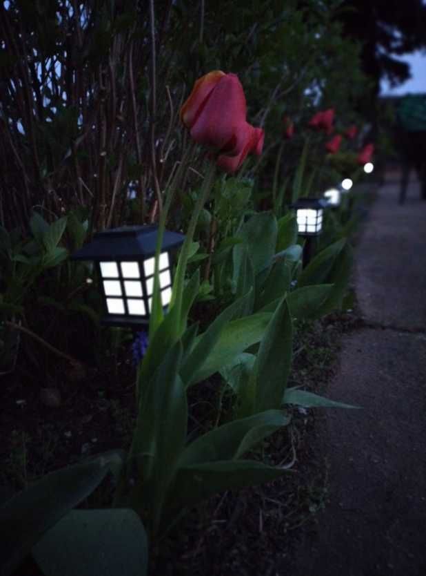 6x Lampa solarna LED ogrodowa z czujnikiem wbijana ozdobna Lampki