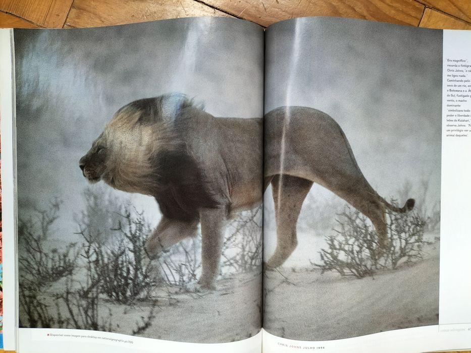 Revista Nacional Geographic 100 Melhores Imagens