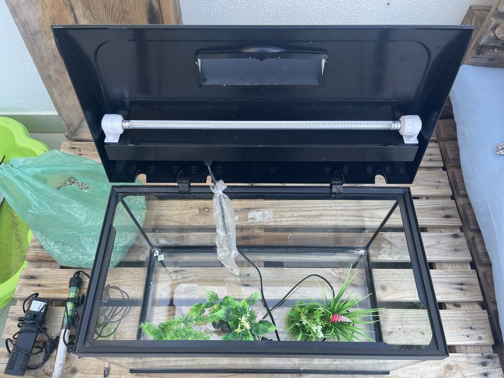 Aquario para peixes com luz led