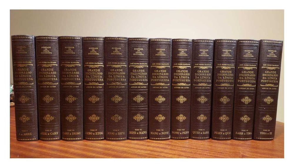 Dicionário de Português 12 volumes