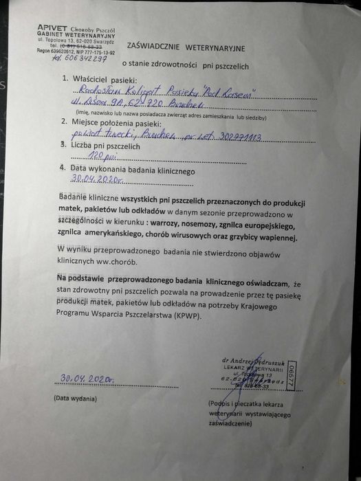 Odkłady Pszczele Na Ramce Wielkopolskiej 2026