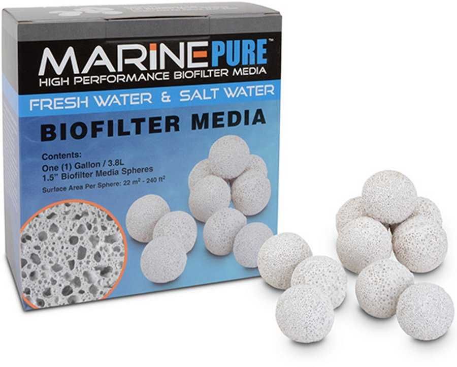 Reef - MarinePure