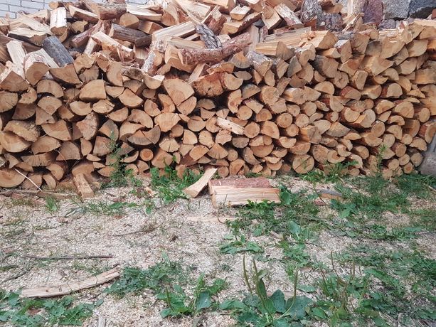Drewno opałowe - Lasy państwowe