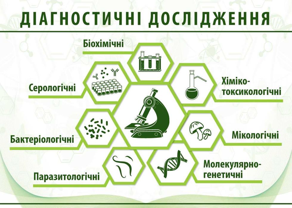 Діагностичні дослідження, ветеринарна лабораторія, дослідження кормів