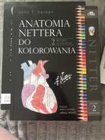 Anatomia Nettera  do kolorowania