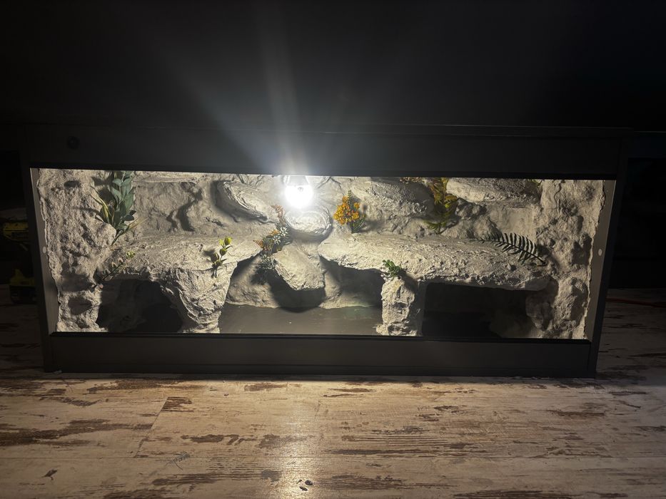 Terrarium dla agamy brodatej nr 2