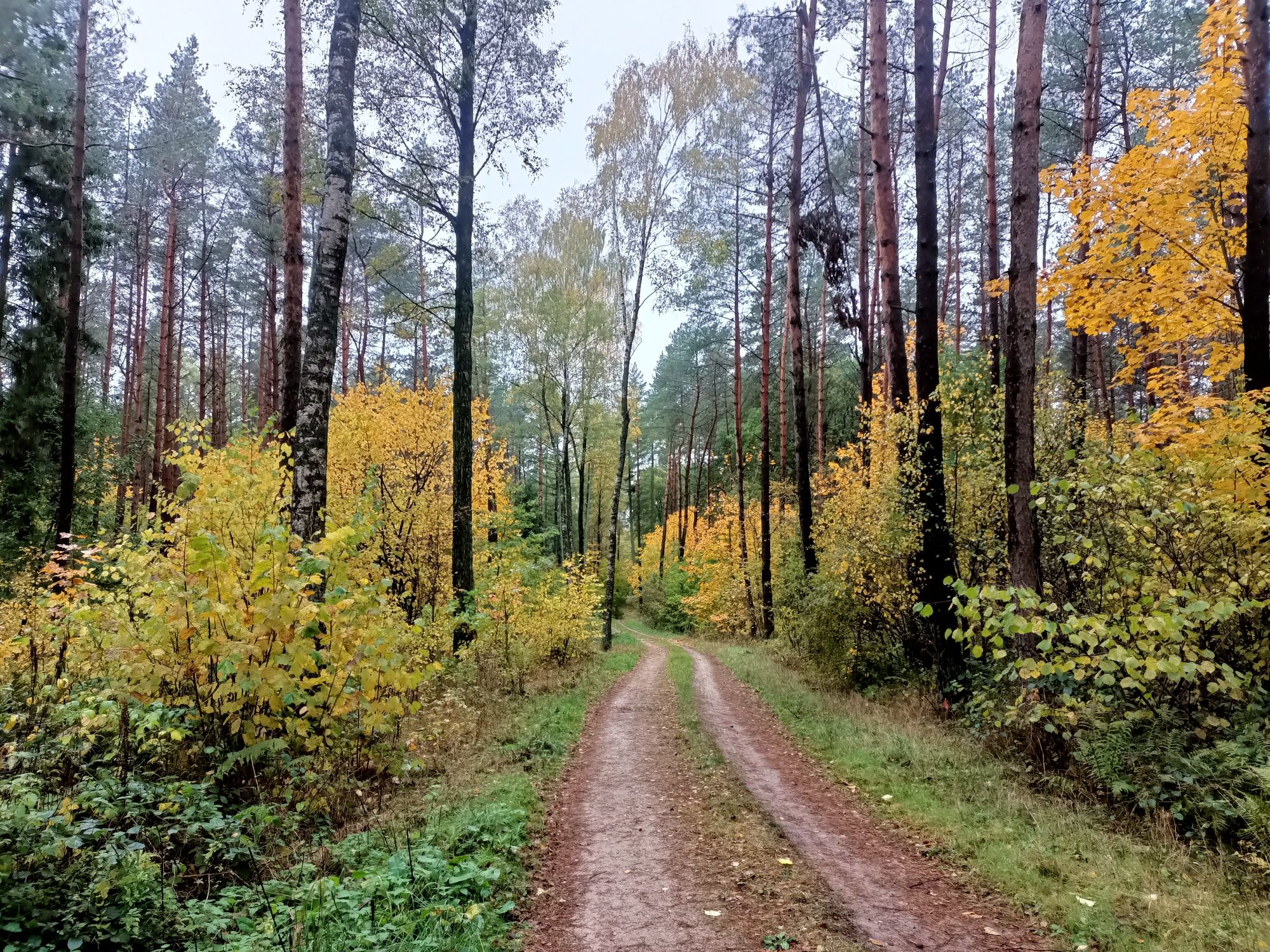 Domek Mazury Pod Sosnami