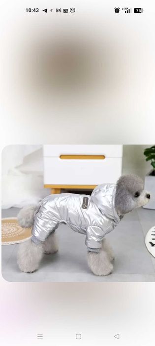 Комбінезон для маленьких порід собачок.