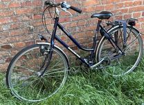 Rower Batavus Cheyenne