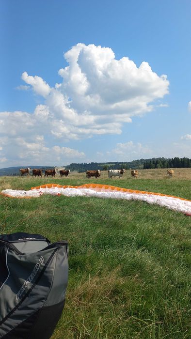 Paralotnia Air Sport Pasat 5, rozmiar 28  90-115 kg