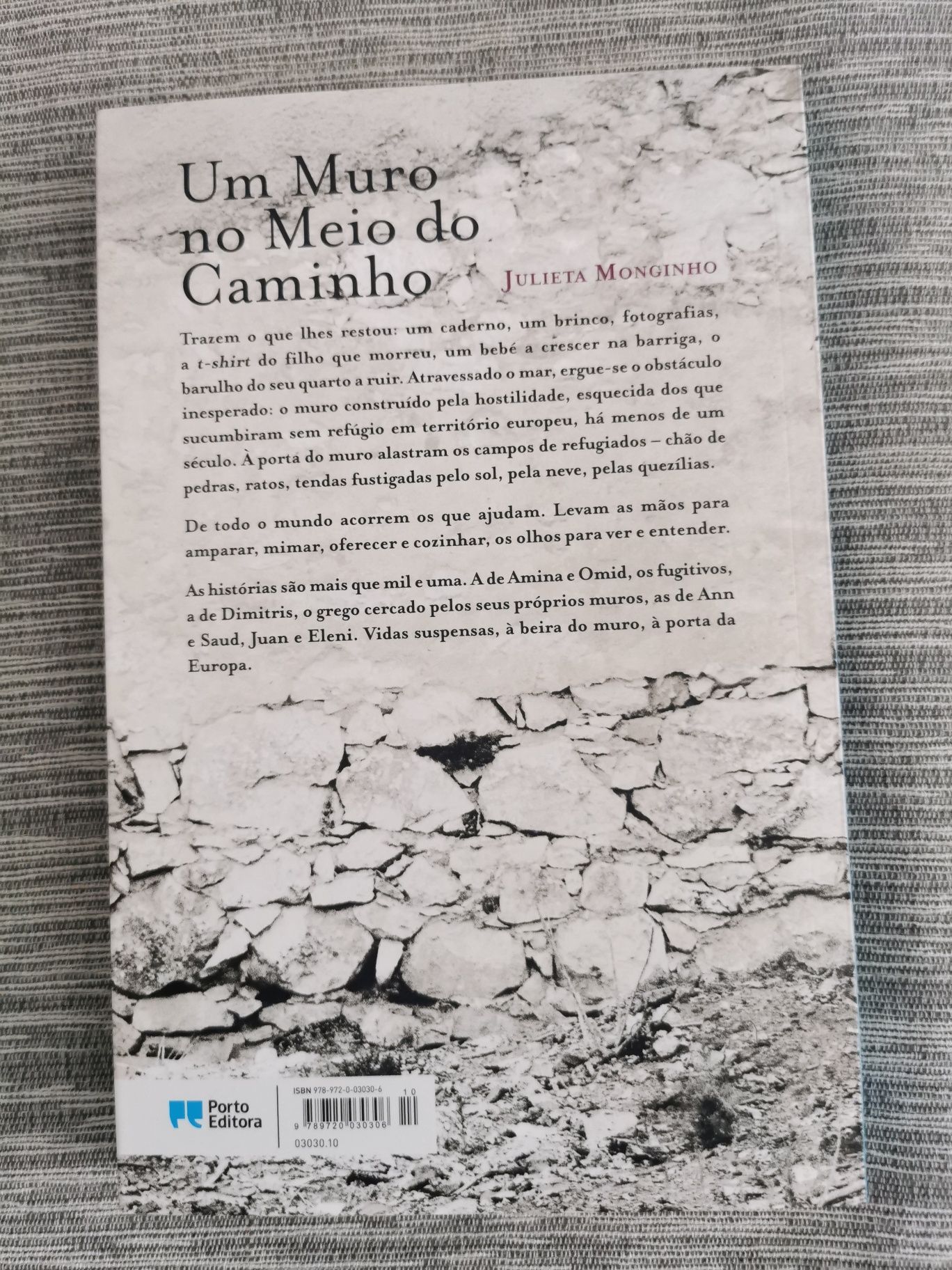 Um Muro no Meio do Caminho (Julieta Monginho) - Porto Editora