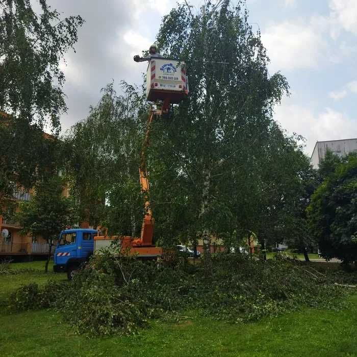 Wycinka drzew z podnośnika koszowego lub dostępu linowego Usługi rębak